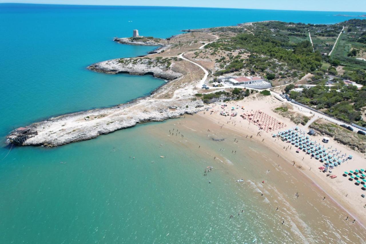 Villaggio Turistico Scialmarino Vieste Dış mekan fotoğraf