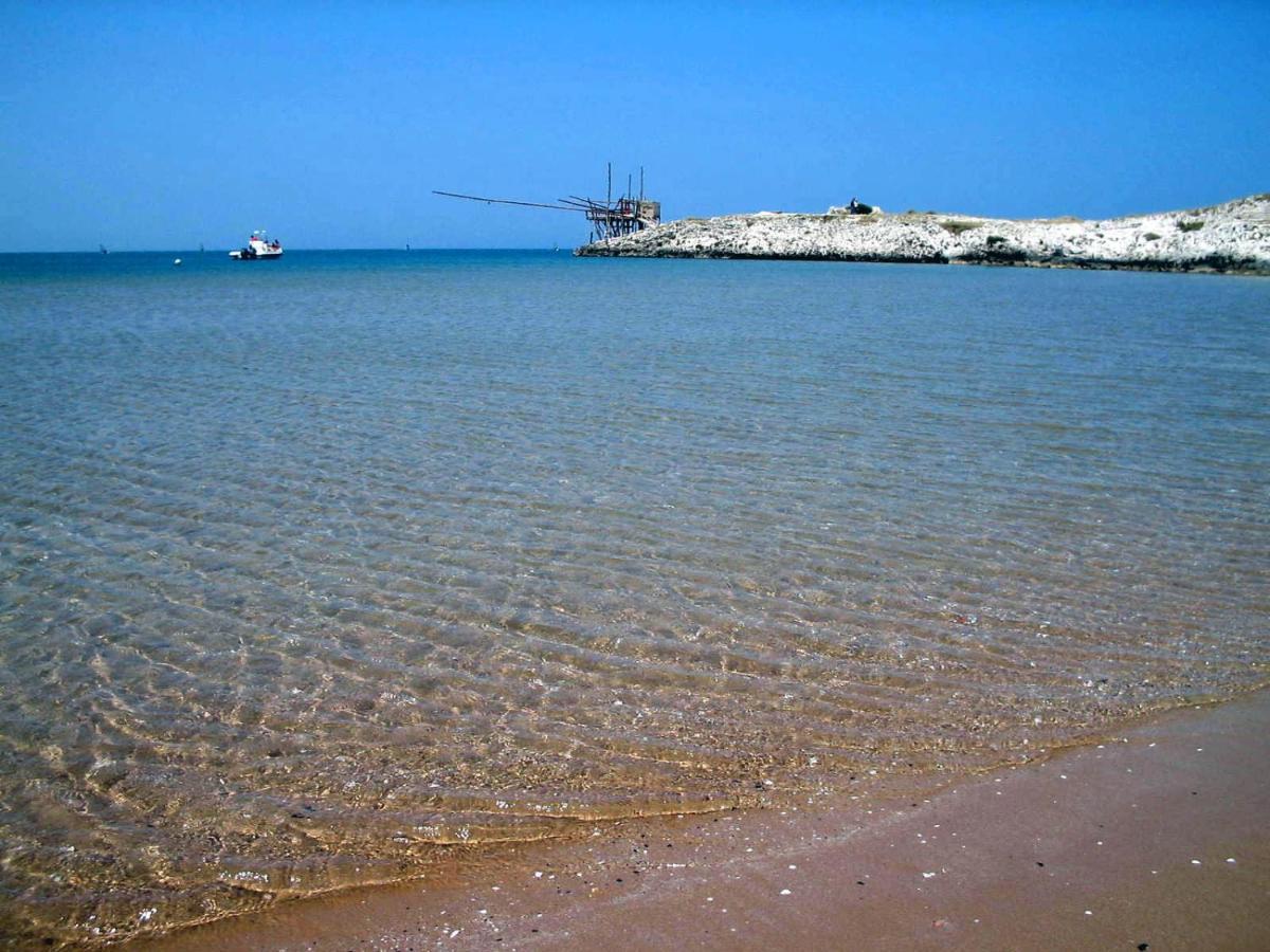 Villaggio Turistico Scialmarino Vieste Dış mekan fotoğraf